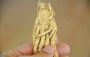 herbs para sa pagpapalaki ng ari